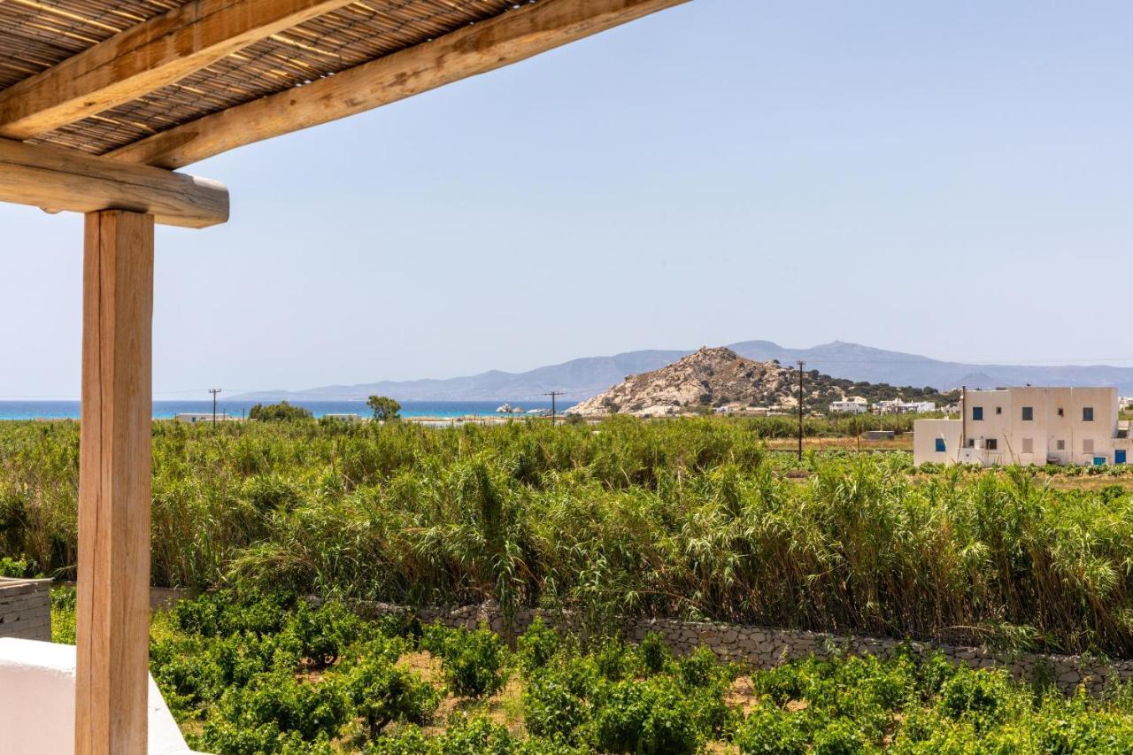 Oneiric Harmony Villa Mikri Vigla Ngoại thất bức ảnh